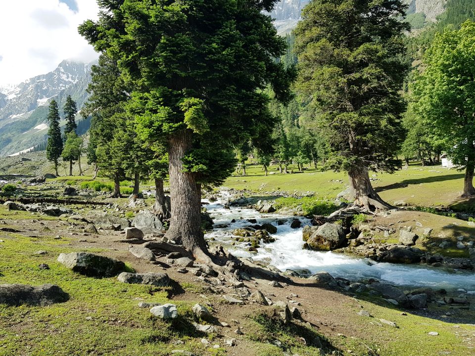 Photo of Sonmarg 2018 by Muzafar Shah