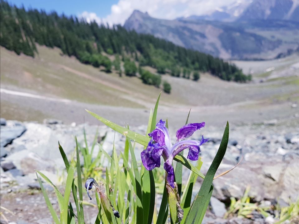 Photo of Sonmarg 2018 by Muzafar Shah