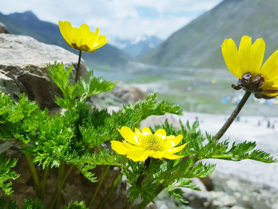 Photo of Sonmarg 2018 by Muzafar Shah