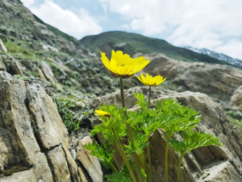 Photo of Sonmarg 2018 by Muzafar Shah