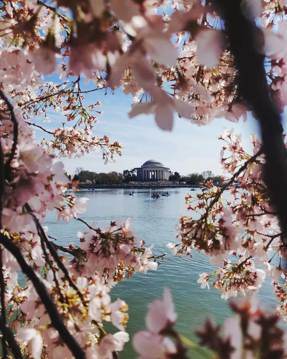 Photo of Washington By Kalpita Raut