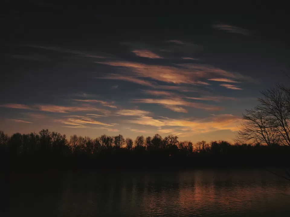 Photo of Washington By Kalpita Raut