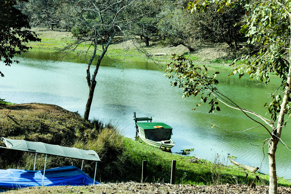 Photo of Kaziranga National Park by Shah Alam