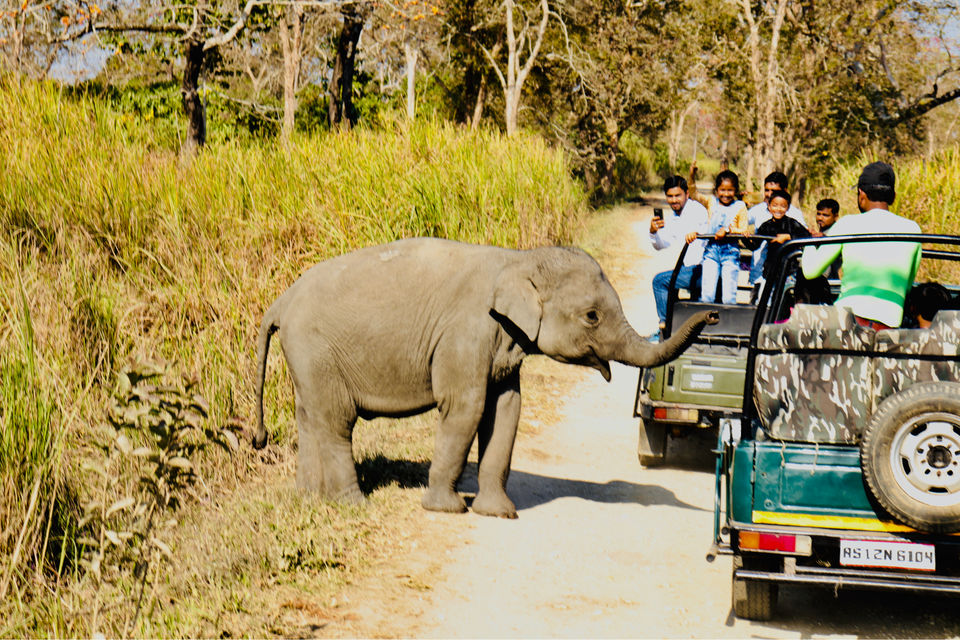 Photo of Kaziranga National Park by Shah Alam
