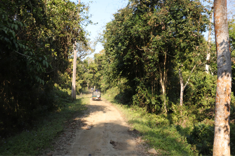 Photo of Kaziranga National Park by Shah Alam