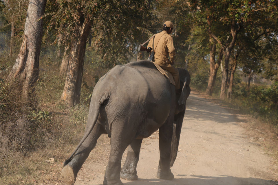 Photo of Kaziranga National Park by Shah Alam