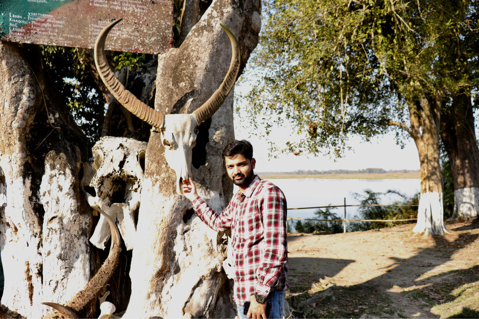 Photo of Kaziranga National Park by Shah Alam