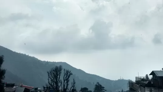 Photo of McLeod Ganj, Dharamshala, Himachal Pradesh, India by harsha raisinghani