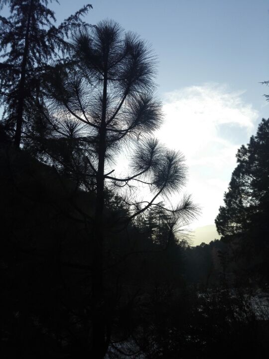 Photo of Kasol, Himachal Pradesh, India by Priti Raman Vishwakarma