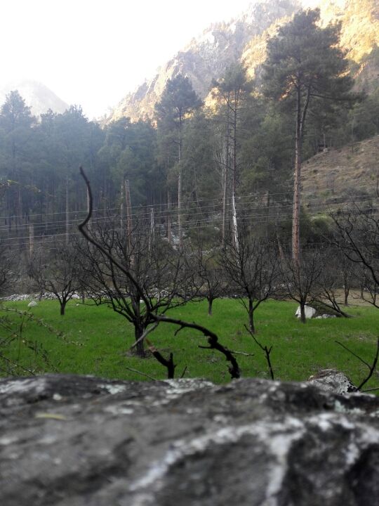 Photo of Kasol, Himachal Pradesh, India by Priti Raman Vishwakarma