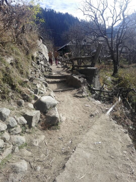 Photo of Tosh, Himachal Pradesh, India by Priti Raman Vishwakarma