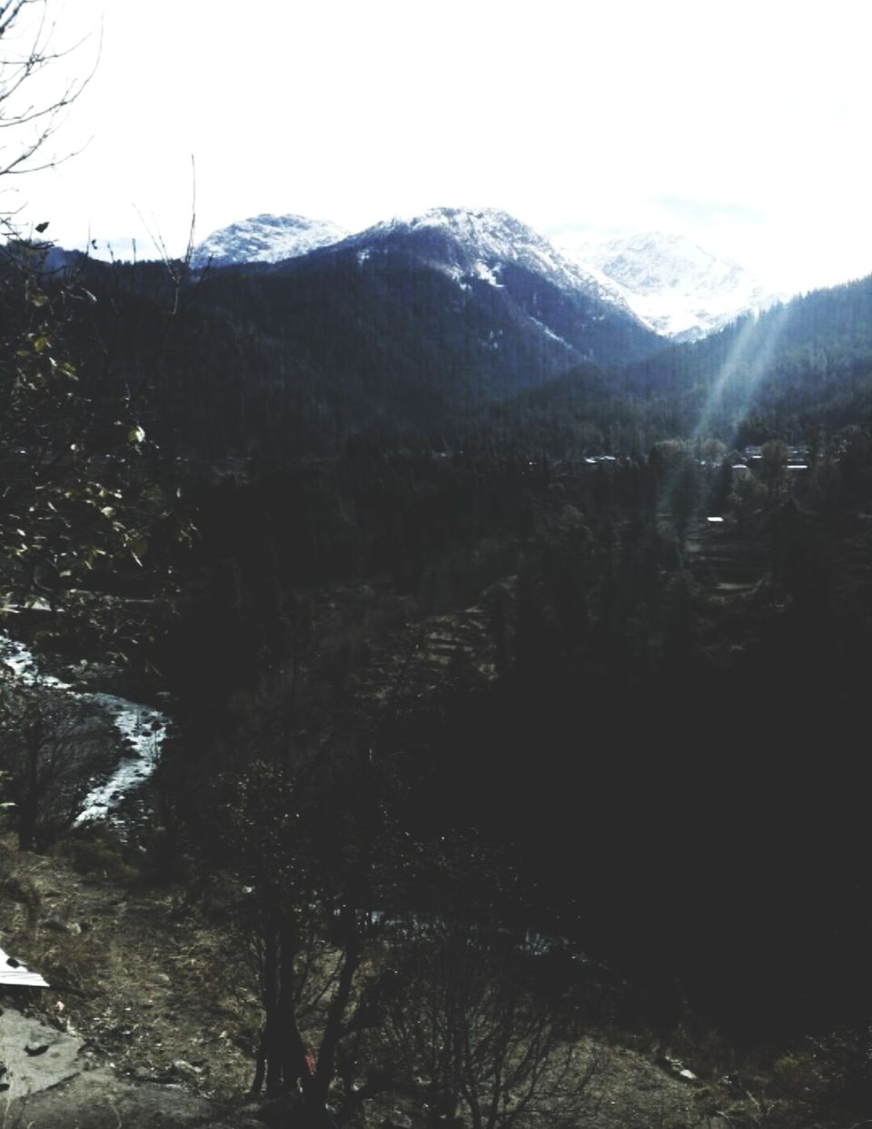 Photo of Tosh Village – A Journey Towards Exploring The Hidden Cultural Beauty Of Mountains by Priti Raman Vishwakarma