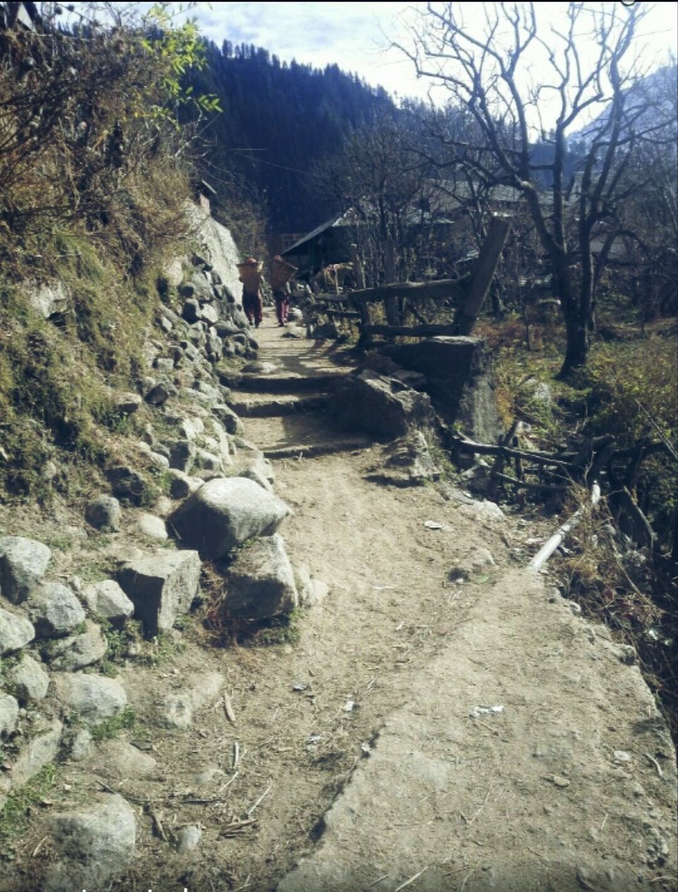 Photo of Tosh Village – A Journey Towards Exploring The Hidden Cultural Beauty Of Mountains by Priti Raman Vishwakarma