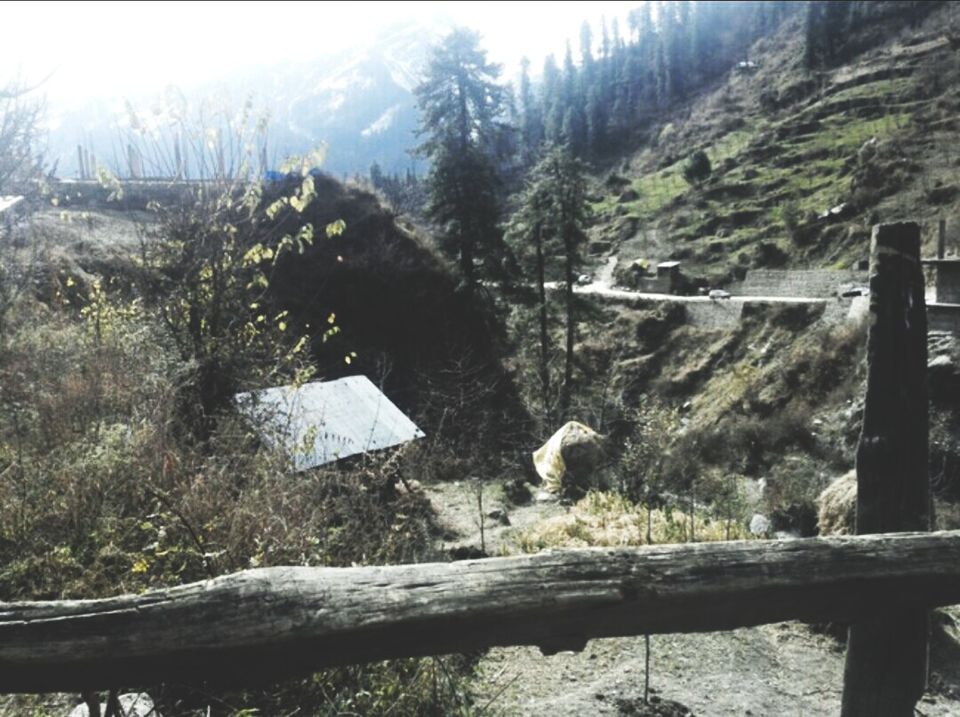 Photo of Tosh Village – A Journey Towards Exploring The Hidden Cultural Beauty Of Mountains by Priti Raman Vishwakarma