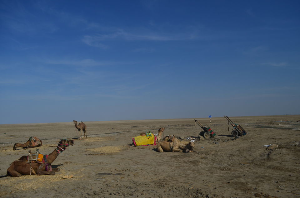 Photo of 7 things to Experience in The White Rann of Kutch by Priti Raman Vishwakarma