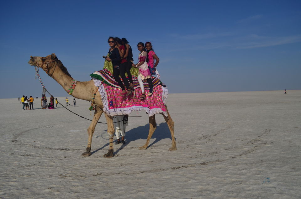 Photo of 7 things to Experience in The White Rann of Kutch by Priti Raman Vishwakarma