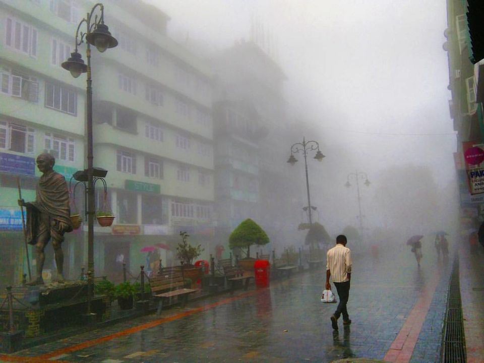 Photo of Darjeeling - Sikkim - Feel the Magical Aroma of Nature 5/6 by Priti Raman Vishwakarma