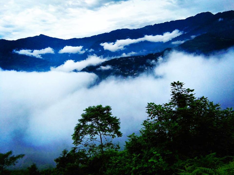 Photo of Darjeeling - Sikkim - Feel the Magical Aroma of Nature 6/6 by Priti Raman Vishwakarma