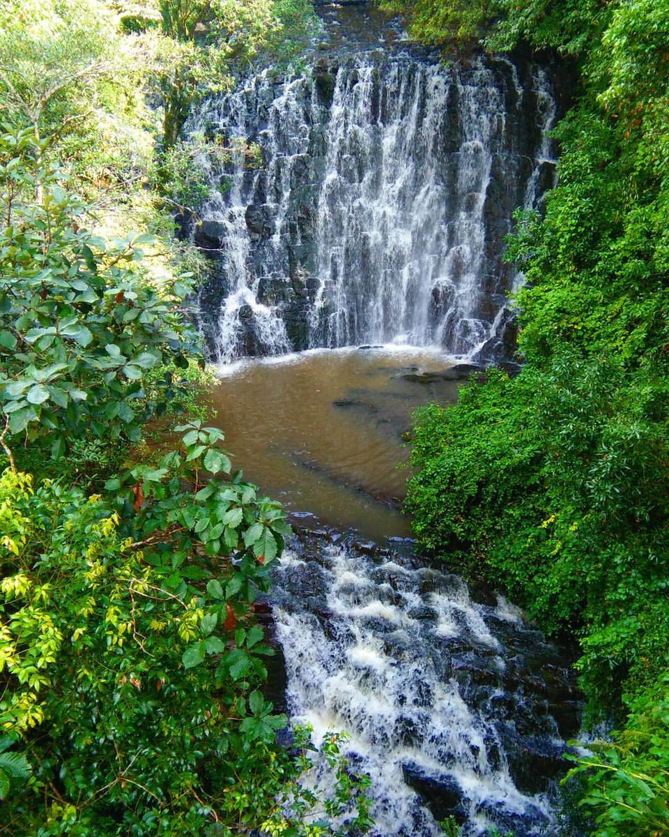 Photo of Meghalaya - Create your own Jungle Book Stories 4/9 by Priti Raman Vishwakarma