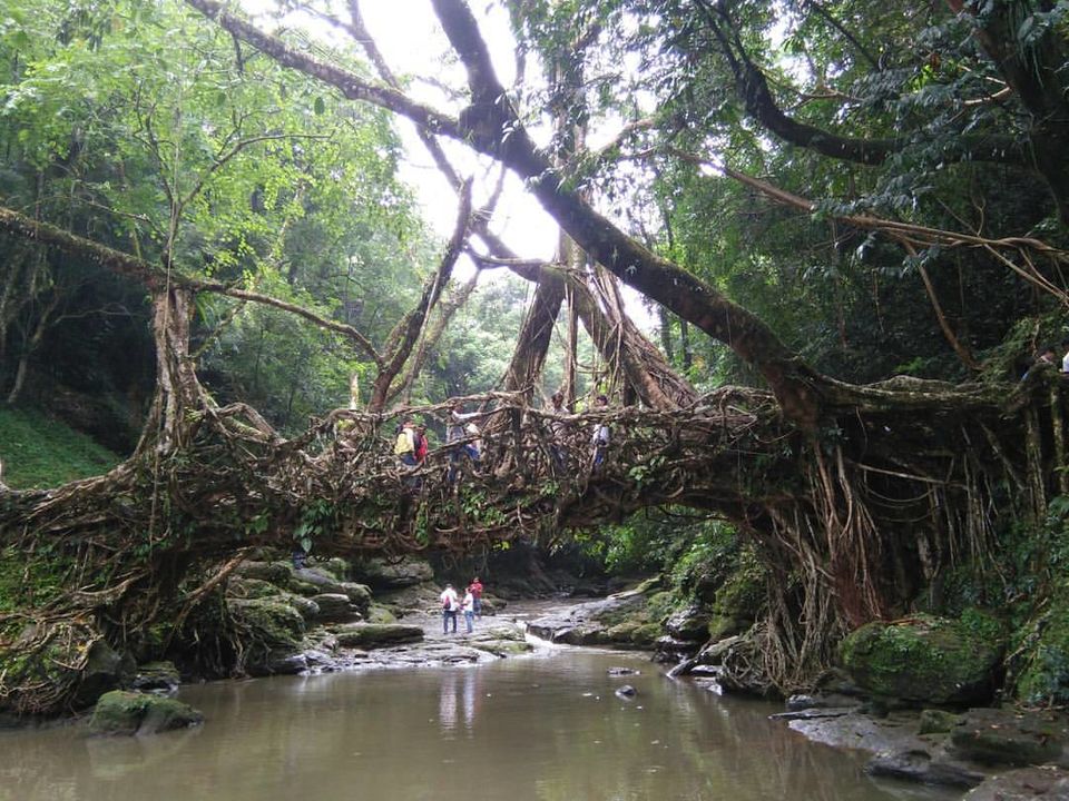 Photo of Meghalaya - Create your own Jungle Book Stories 6/9 by Priti Raman Vishwakarma