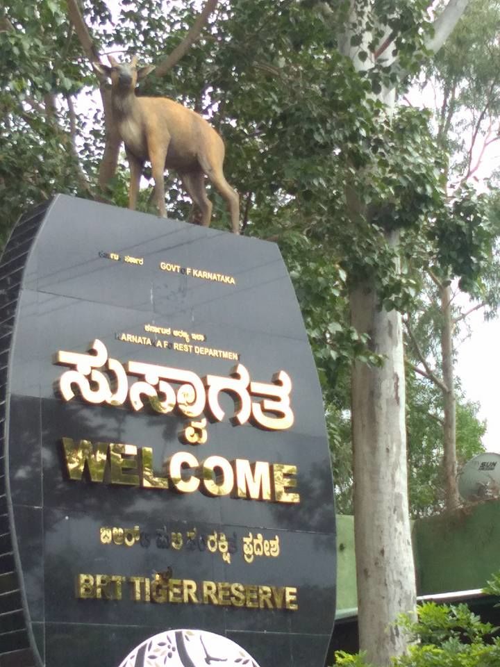 Photo of Welcome to B R Hills (Biligirirangana Hills) 2/11 by atanu