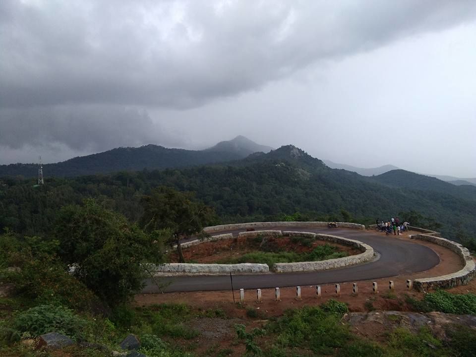 Photo of Welcome to B R Hills (Biligirirangana Hills) 3/11 by atanu