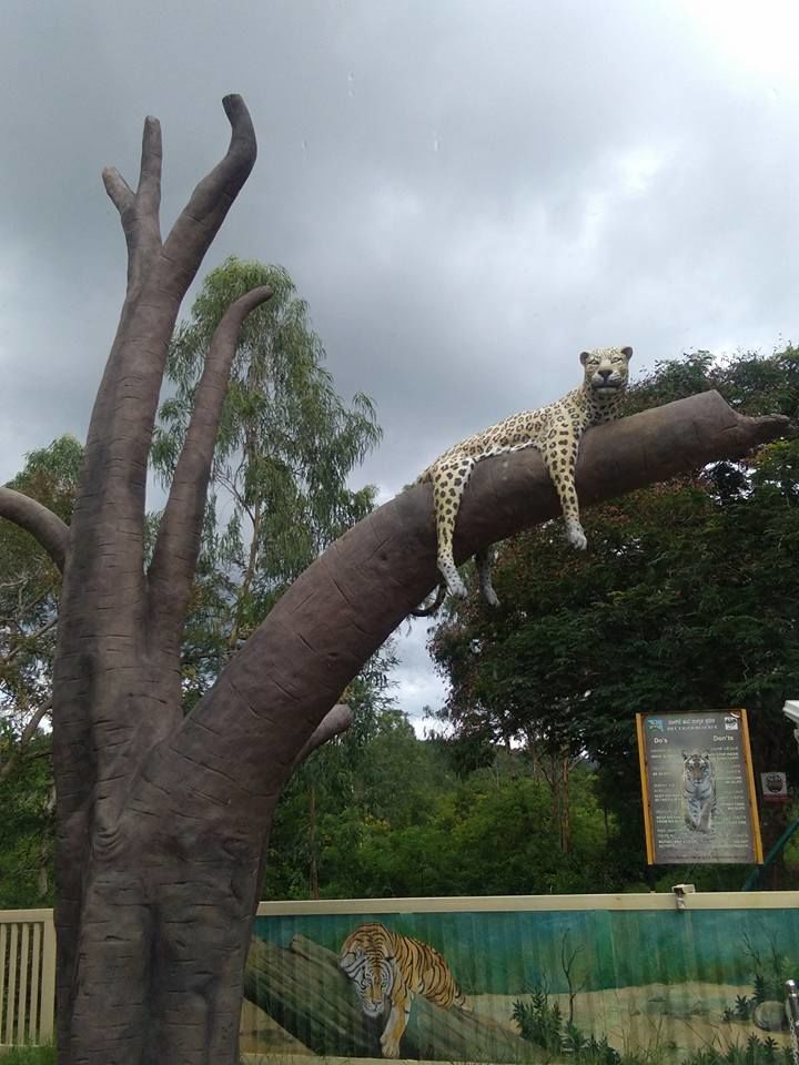 Photo of Welcome to B R Hills (Biligirirangana Hills) 4/11 by atanu