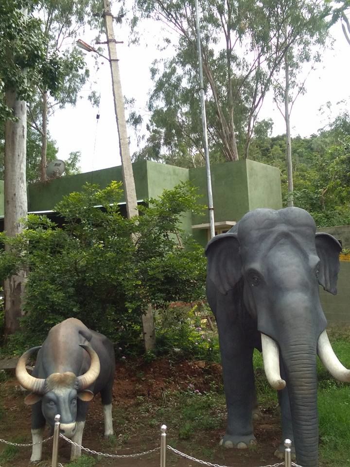 Photo of Welcome to B R Hills (Biligirirangana Hills) 5/11 by atanu