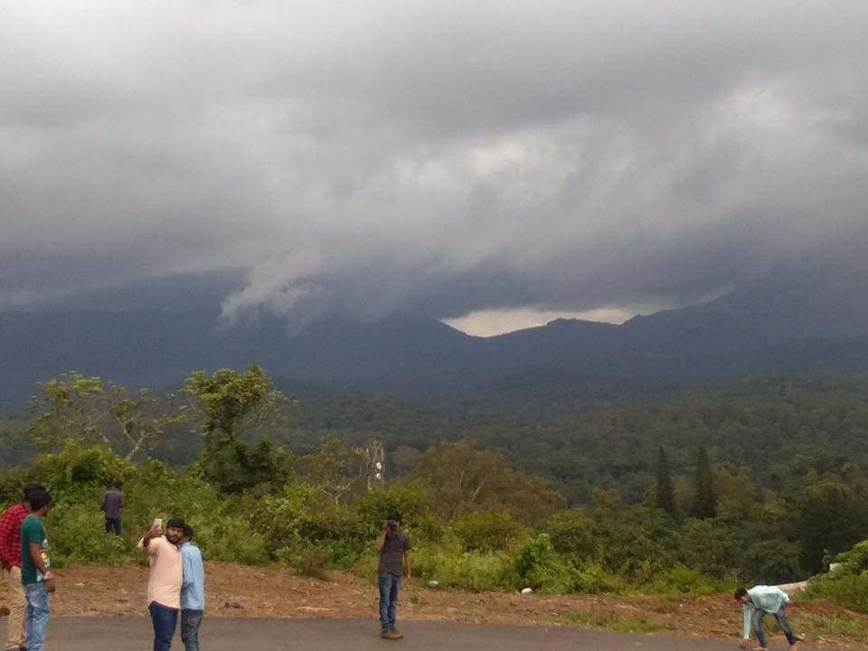 Photo of Welcome to B R Hills (Biligirirangana Hills) 7/11 by atanu