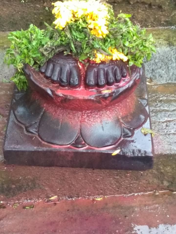 Photo of Welcome to B R Hills (Biligirirangana Hills) 10/11 by atanu