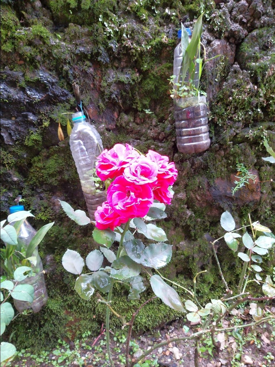 Photo of Namgyal Institute of Tibetology, M.P.Golai, Tadong, Gangtok, Sikkim, India by Anv._.Guru