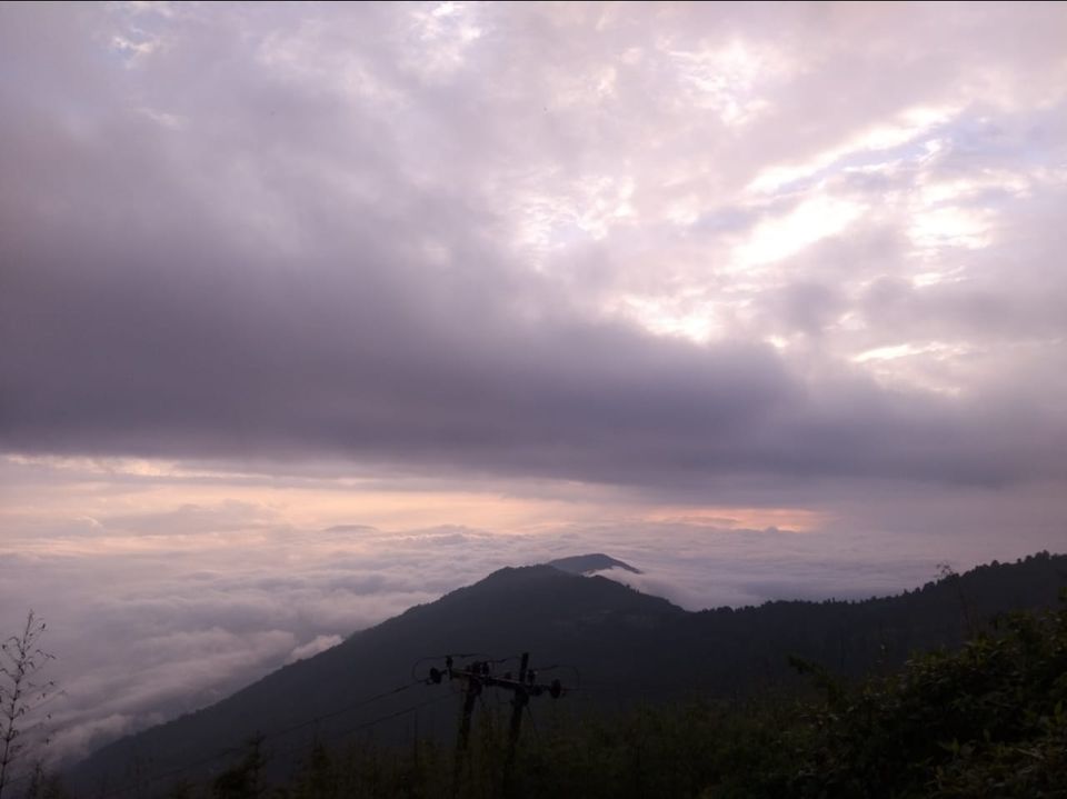 Photo of Padmaja Naidu Himalayan Zoological Park, Jawahar Parbat, Darjeeling, West Bengal, India by Anv._.Guru
