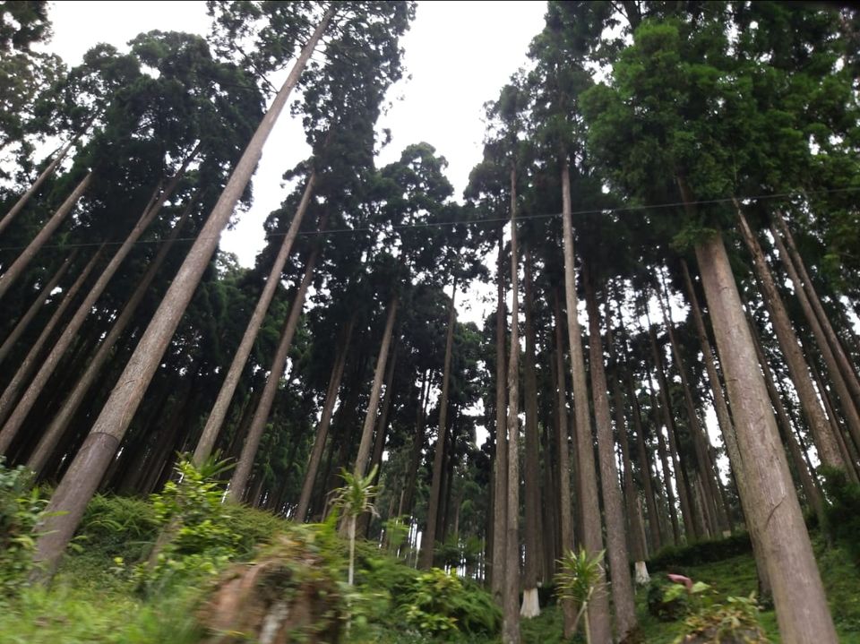 Photo of The Delight of Sikkhim and Darjeeling. by Anv._.Guru