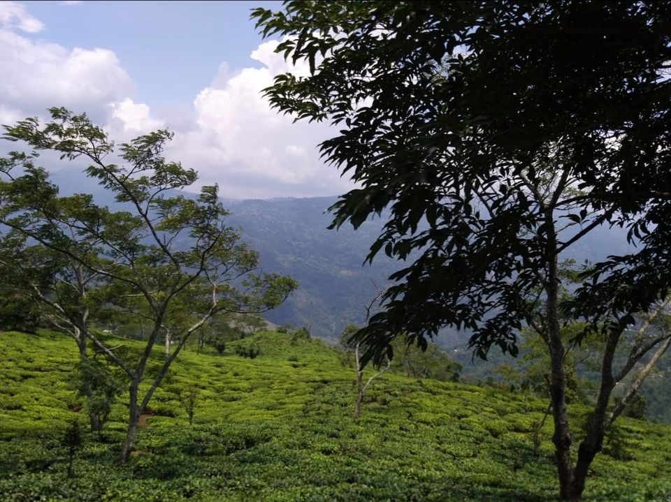 Photo of The Delight of Sikkhim and Darjeeling. by Anv._.Guru