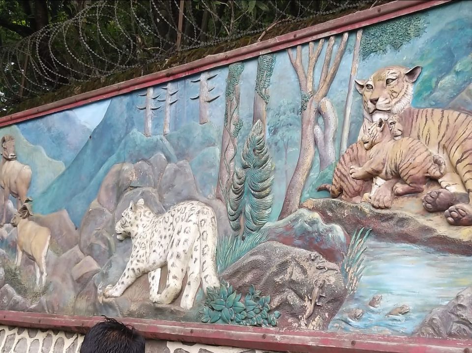 Photo of Padmaja Naidu Himalayan Zoological Park, Jawahar Parbat, Darjeeling, West Bengal, India by Anv._.Guru