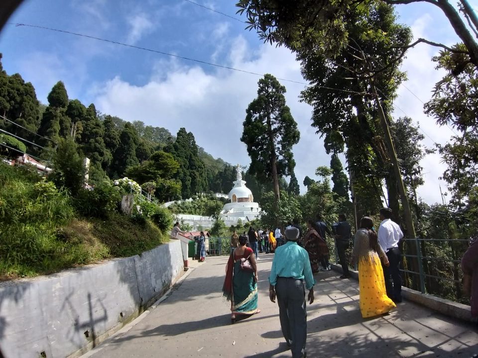 Photo of Padmaja Naidu Himalayan Zoological Park, Jawahar Parbat, Darjeeling, West Bengal, India by Anv._.Guru