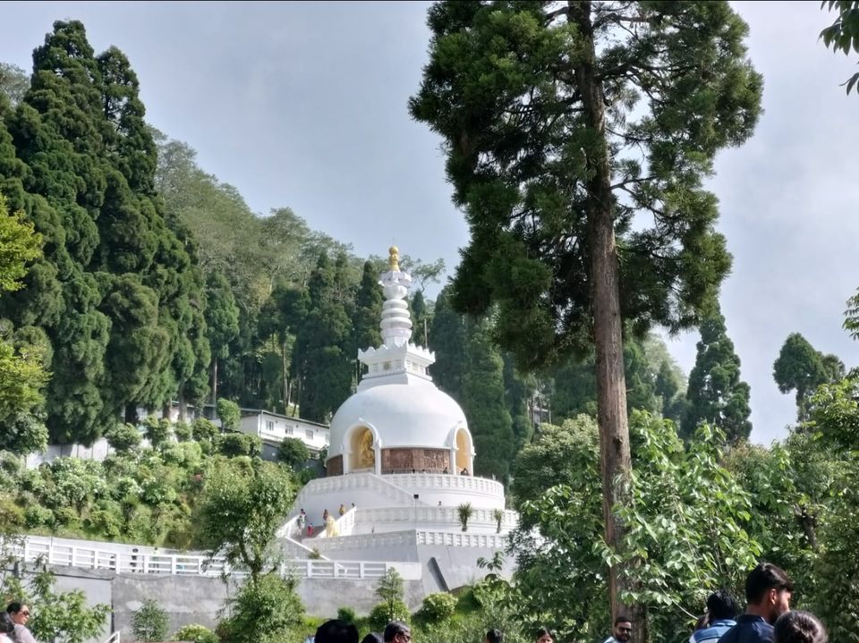 Photo of Padmaja Naidu Himalayan Zoological Park, Jawahar Parbat, Darjeeling, West Bengal, India by Anv._.Guru