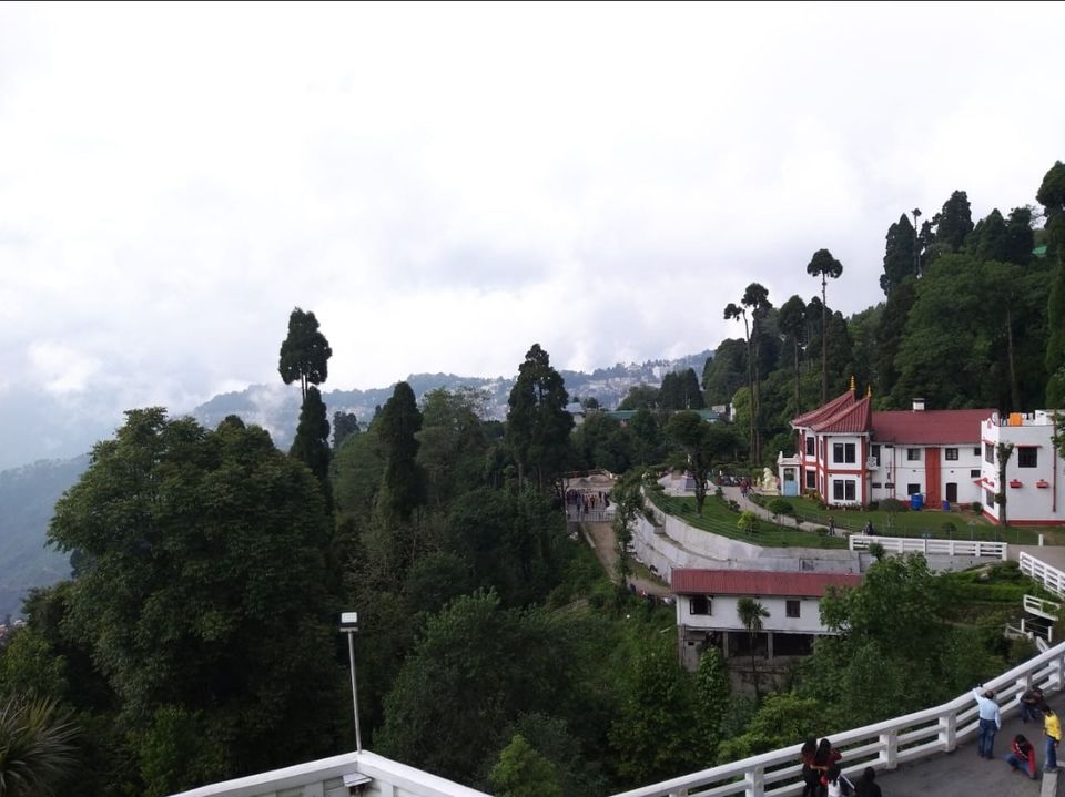 Photo of Padmaja Naidu Himalayan Zoological Park, Jawahar Parbat, Darjeeling, West Bengal, India by Anv._.Guru