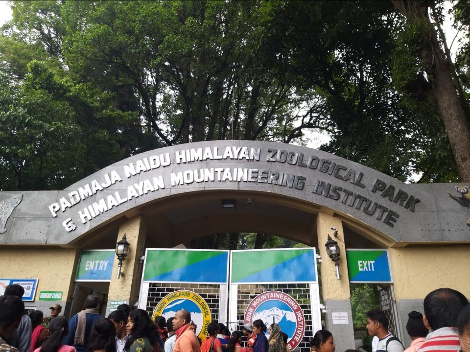 Photo of Padmaja Naidu Himalayan Zoological Park, Jawahar Parbat, Darjeeling, West Bengal, India by Anv._.Guru