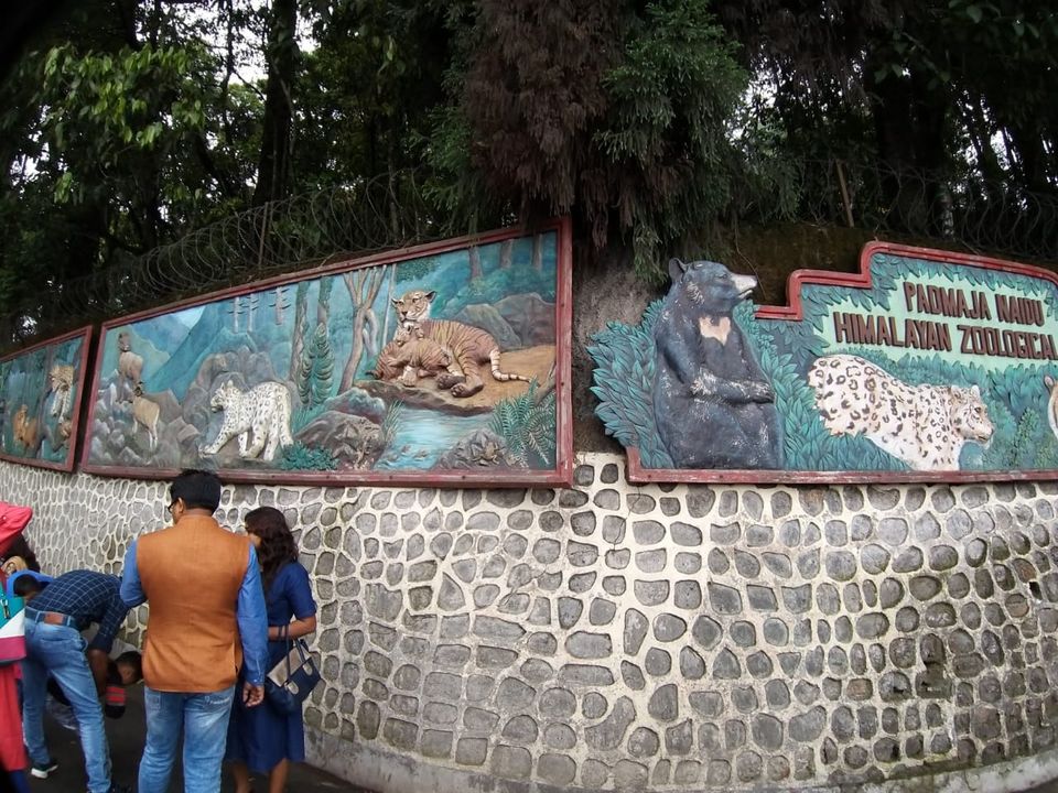 Photo of Padmaja Naidu Himalayan Zoological Park, Jawahar Parbat, Darjeeling, West Bengal, India by Anv._.Guru