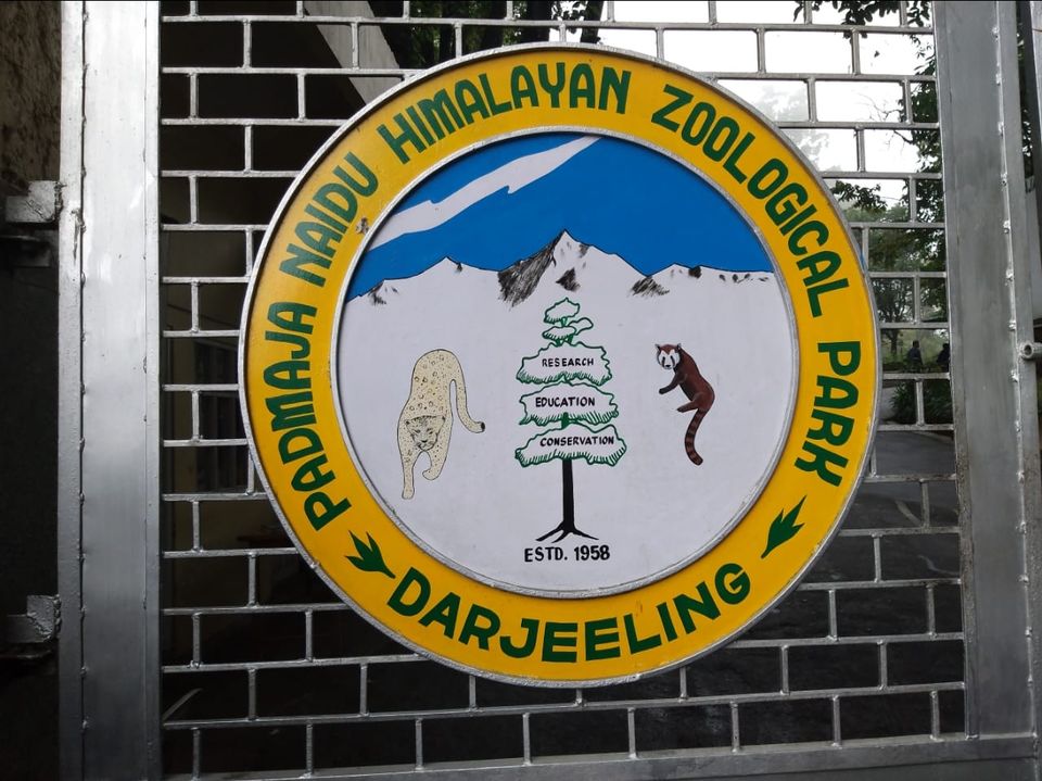 Photo of Padmaja Naidu Himalayan Zoological Park, Jawahar Parbat, Darjeeling, West Bengal, India by Anv._.Guru