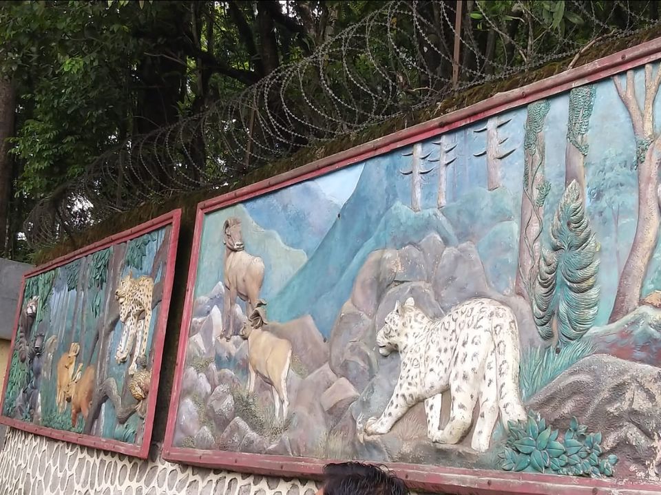 Photo of Padmaja Naidu Himalayan Zoological Park, Jawahar Parbat, Darjeeling, West Bengal, India by Anv._.Guru