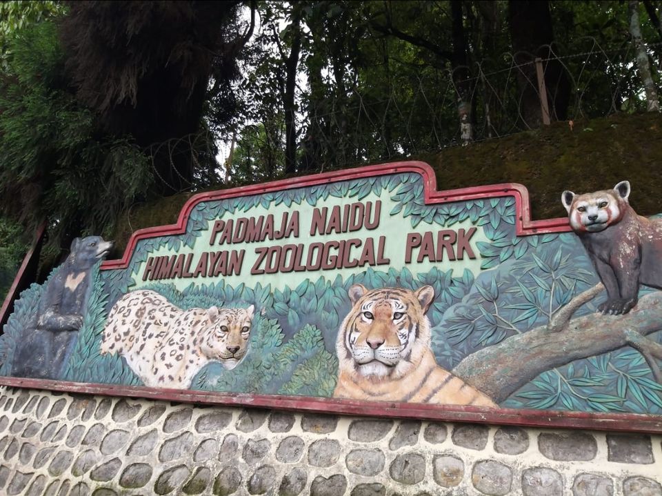 Photo of Padmaja Naidu Himalayan Zoological Park, Jawahar Parbat, Darjeeling, West Bengal, India by Anv._.Guru