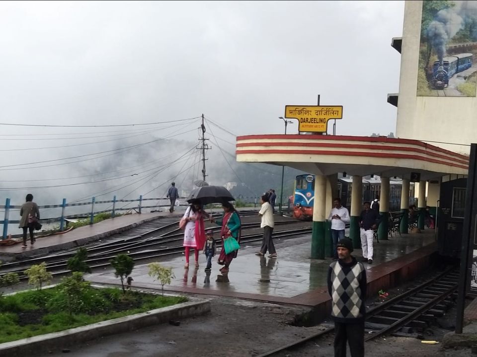 Photo of Padmaja Naidu Himalayan Zoological Park, Jawahar Parbat, Darjeeling, West Bengal, India by Anv._.Guru