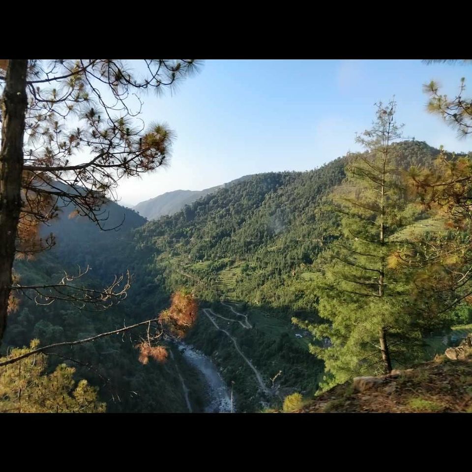 Photo of Best Mountain Trip from Delhi to Triund Trek in Rs. 2400 by Vikas Verma