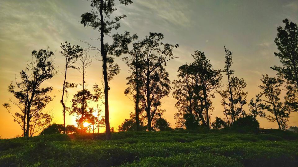 Photo of Bangalore to Wayanad Road Trip on Bike by Rahul Sharma