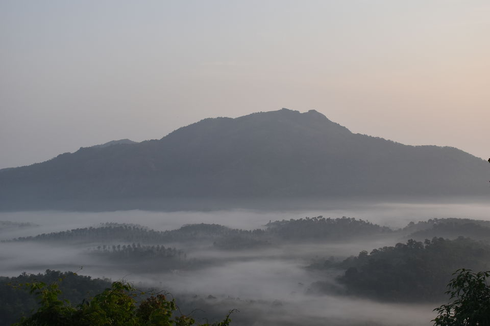 Photo of Zostel Wayanad, Kottappadi part, Kerala, India by Rahul Sharma
