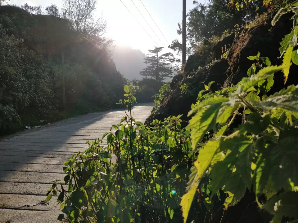 Photo of Mussoorie, Uttarakhand, India by ARCHANA RAI