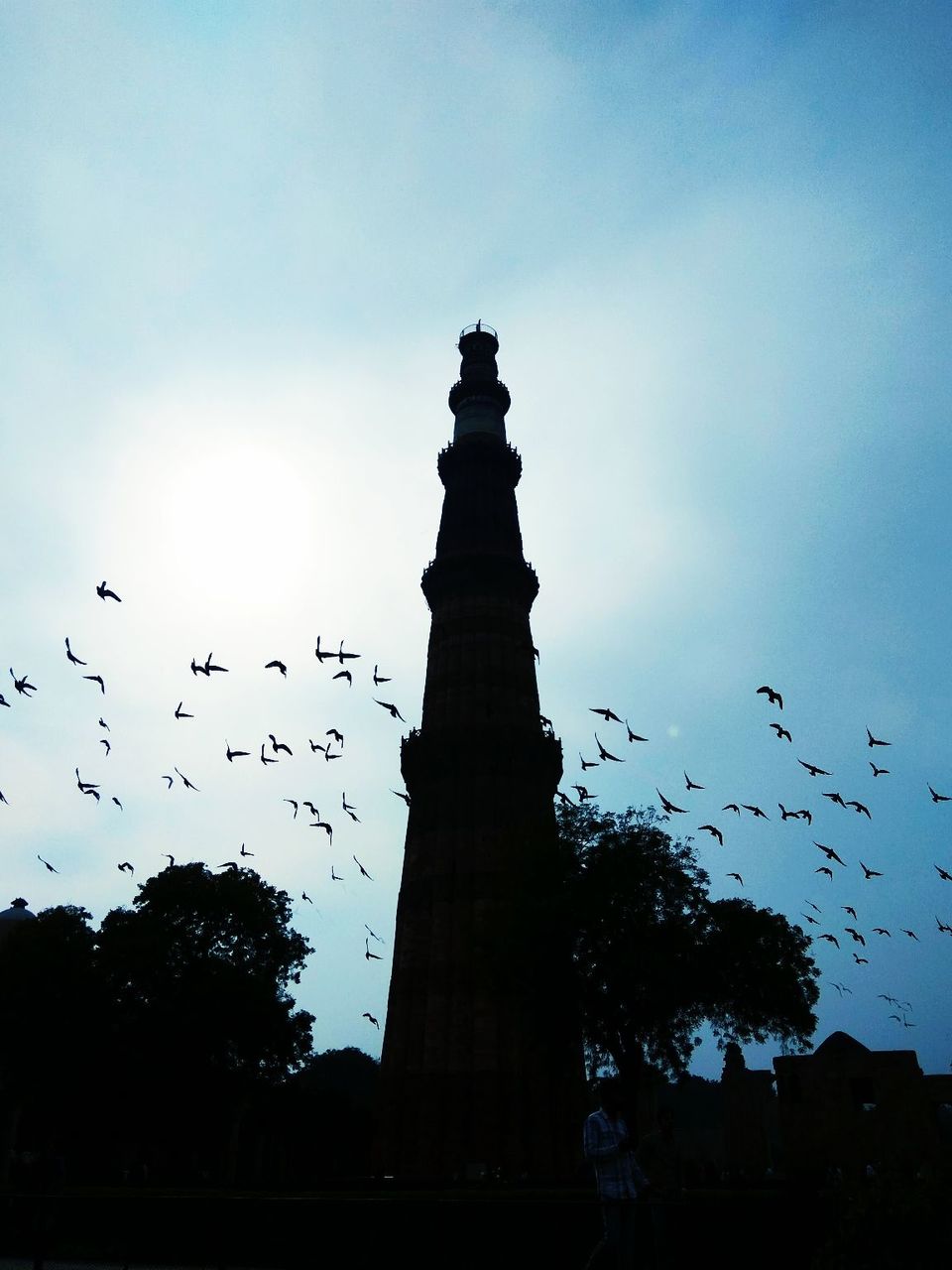 Photo of A Disputed Beauty - Qutub Minar by ARCHANA RAI