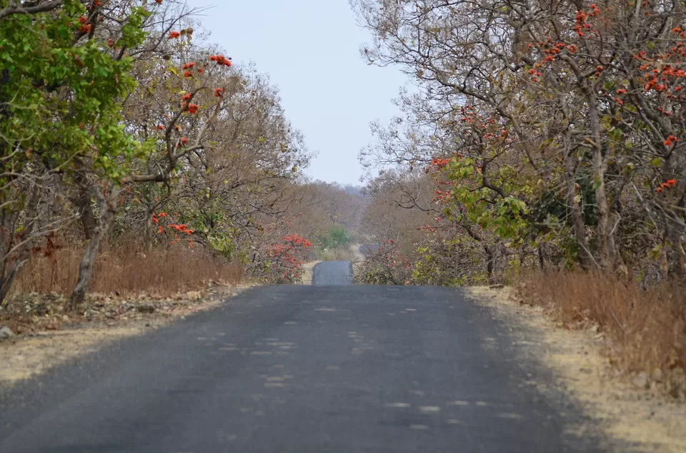 Photo of Devnalya, Madhya Pradesh, India by Ambuj Jain